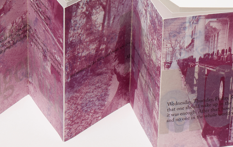 Fractures - Brüche<br> 
2024